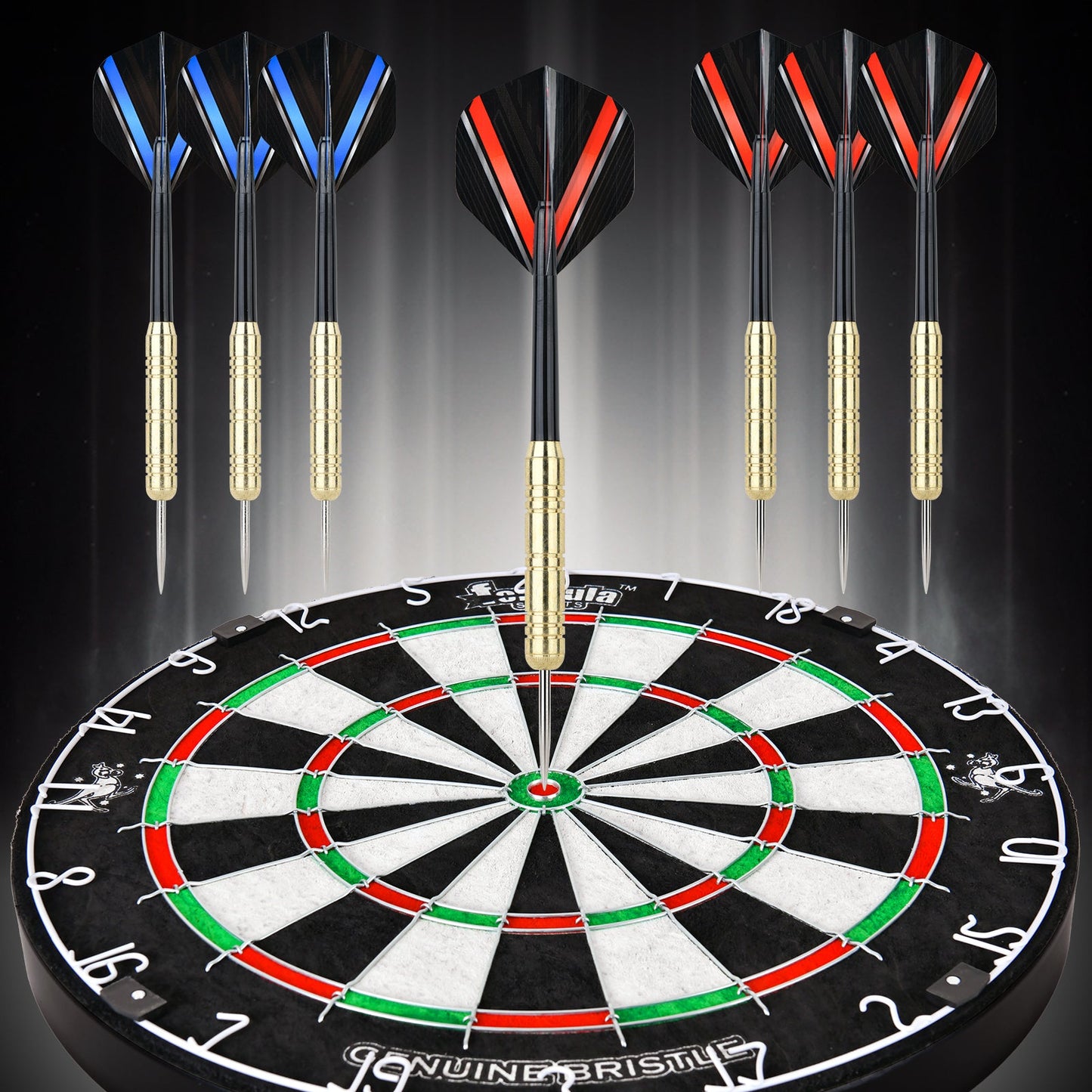 Formula Sports Round Wire Bristle Dartboard mit 6 Darts
