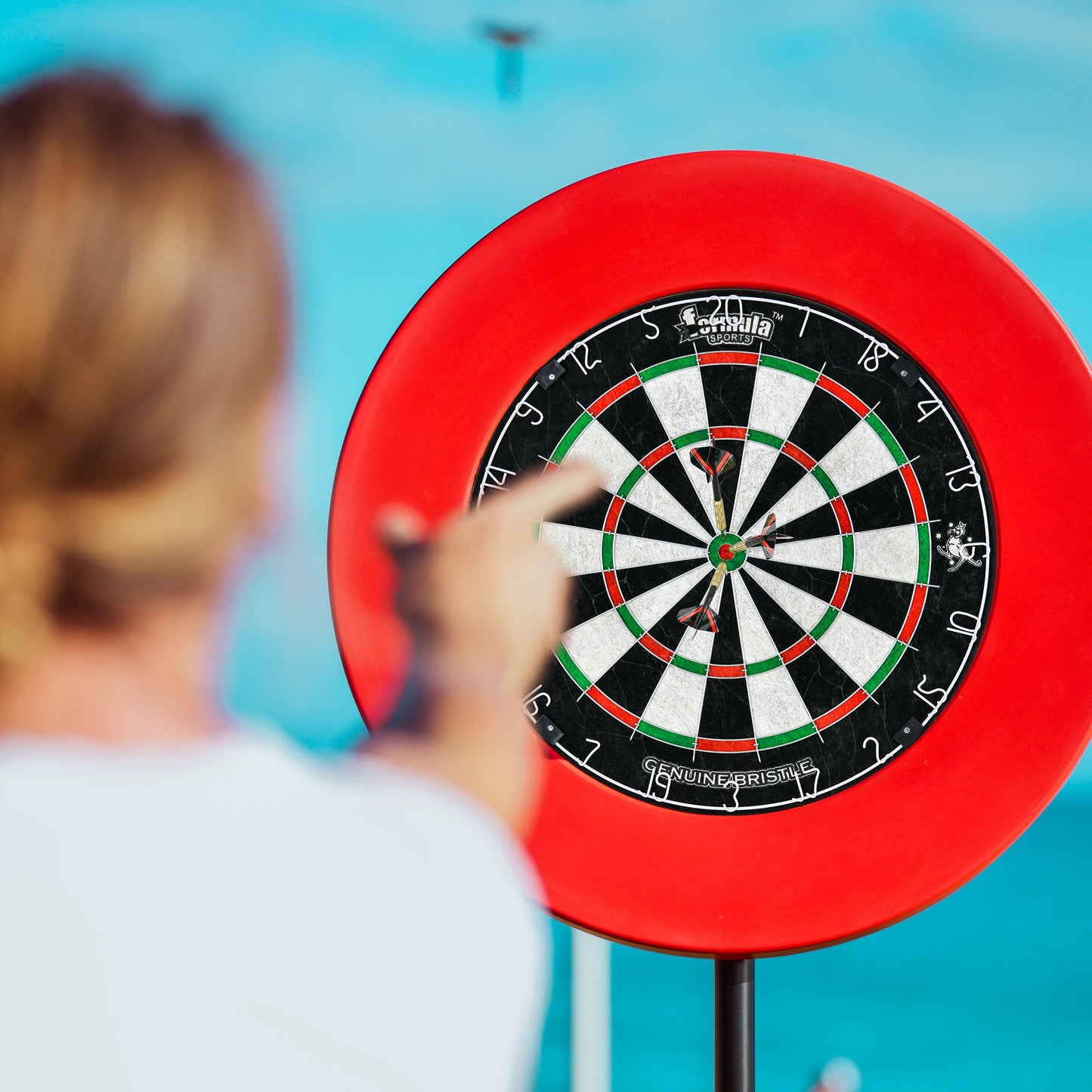 Formula Sports Round Wire Bristle Dartboard mit 6 Darts